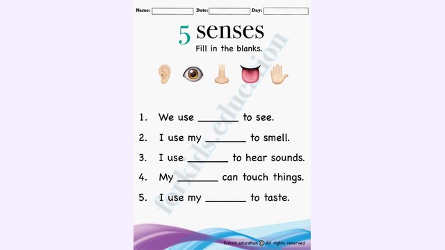 Preview of Five Senses Fill In The Blanks Free Printable
