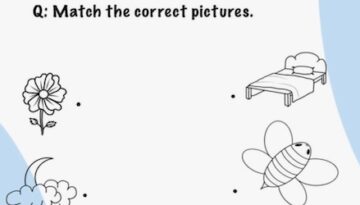 Match_the-pictures
