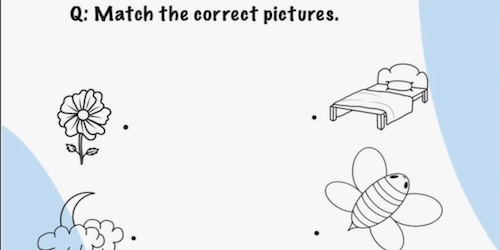 Match_the-pictures