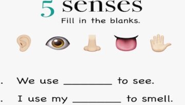 5-senses-names