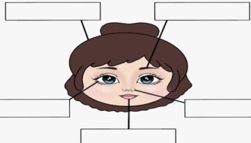 label-the-parts-of-face