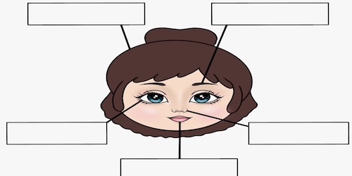 label-the-parts-of-face